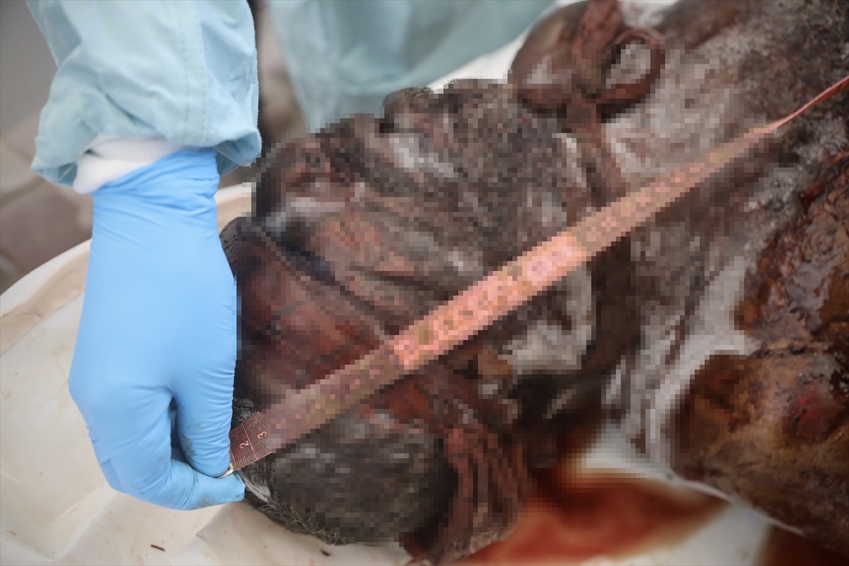 A A 20251018 39452618 39452616 G A Z Z E D E K I S A G L I K B A K A N L I G I I S R A I L I N T E S L I M E T T I G I C E N A Z E L E R I N B A S V E G O G U S B O L G E S I N D E K U R S U N I Z L E R I V A R D I