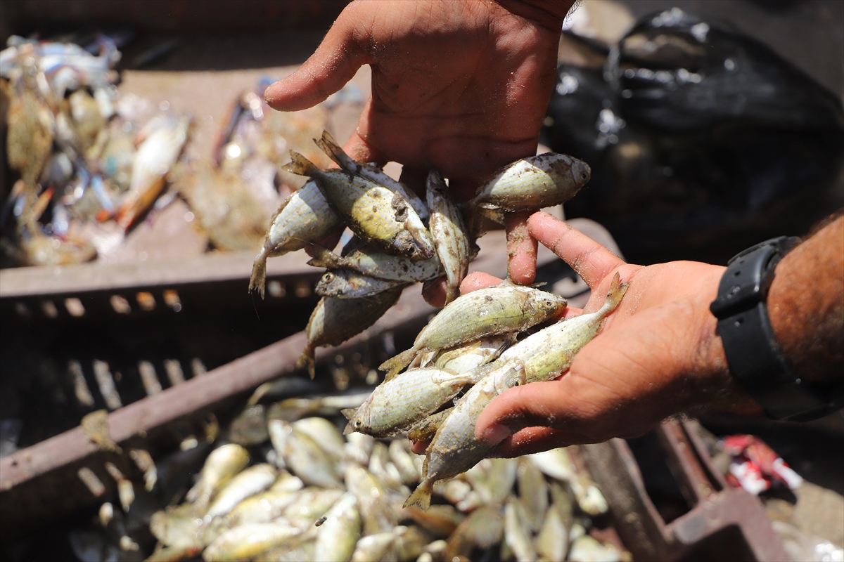 A A 20251020 39469125 39469101 A T E S K E S I N A R D I N D A N G A Z Z E C A R S I L A R I N D A Y E N I D E N C A N L I L I K