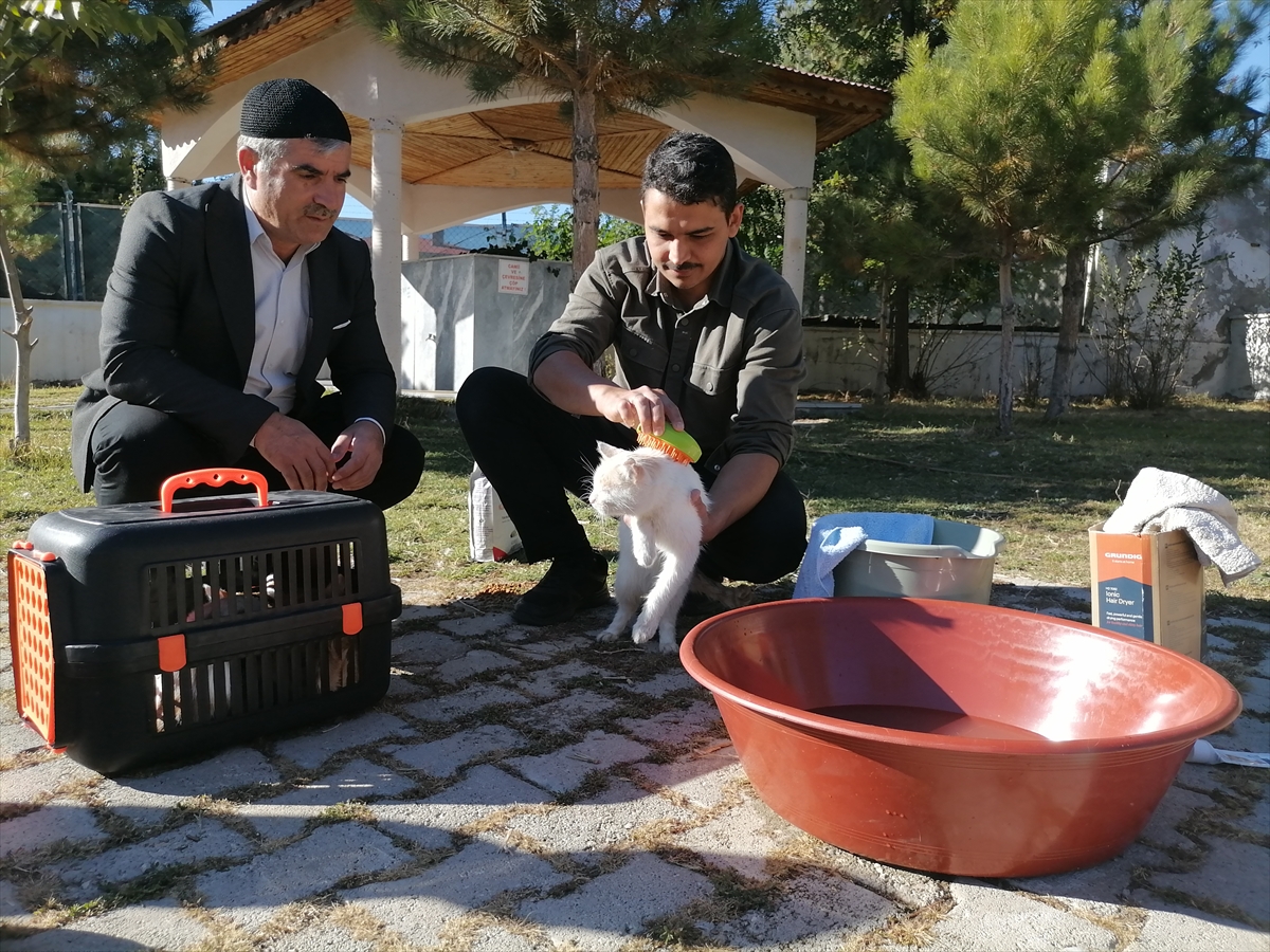 A A 20251022 39483397 39483392 S A H I P C I K T I G I K E D I L E R I L E G E N D E Y I K A Y A N I M A M H A Y V A N S E V G I S I Y L E O R N E K O L U Y O R