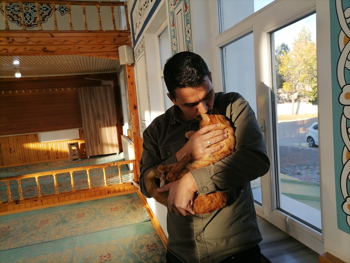 A A 20251022 39483397 39483394 S A H I P C I K T I G I K E D I L E R I L E G E N D E Y I K A Y A N I M A M H A Y V A N S E V G I S I Y L E O R N E K O L U Y O R