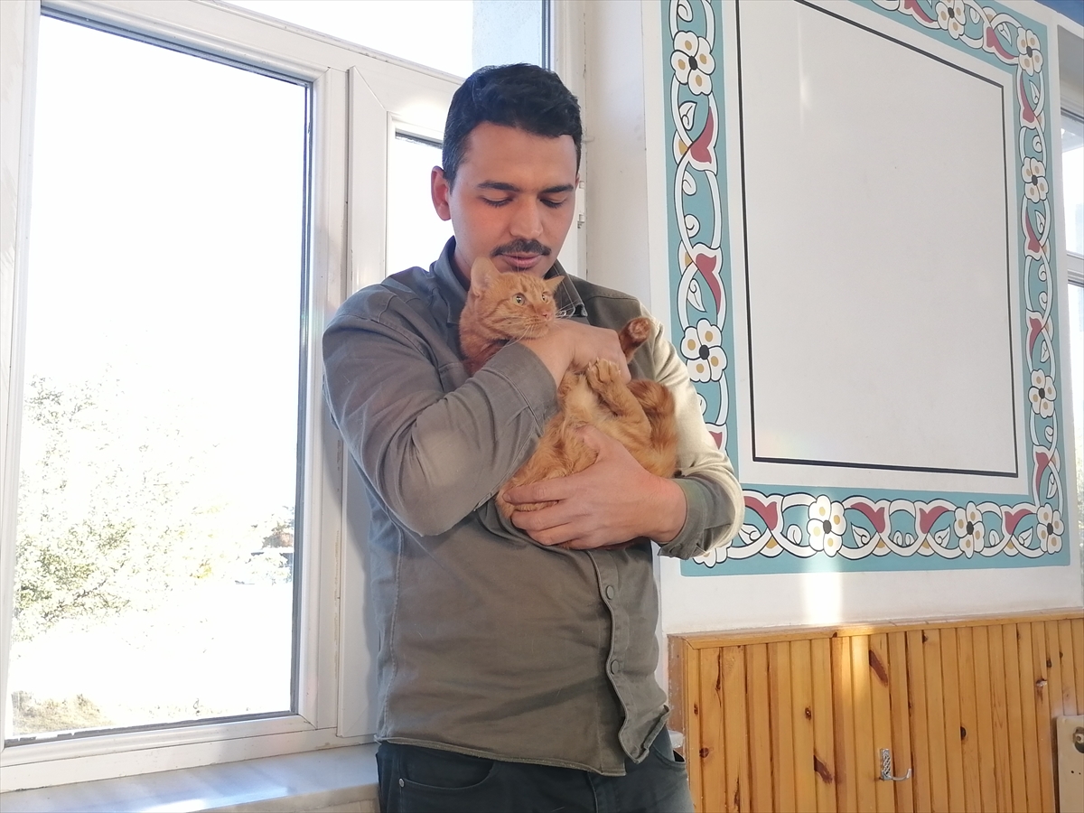 A A 20251022 39483397 39483395 S A H I P C I K T I G I K E D I L E R I L E G E N D E Y I K A Y A N I M A M H A Y V A N S E V G I S I Y L E O R N E K O L U Y O R