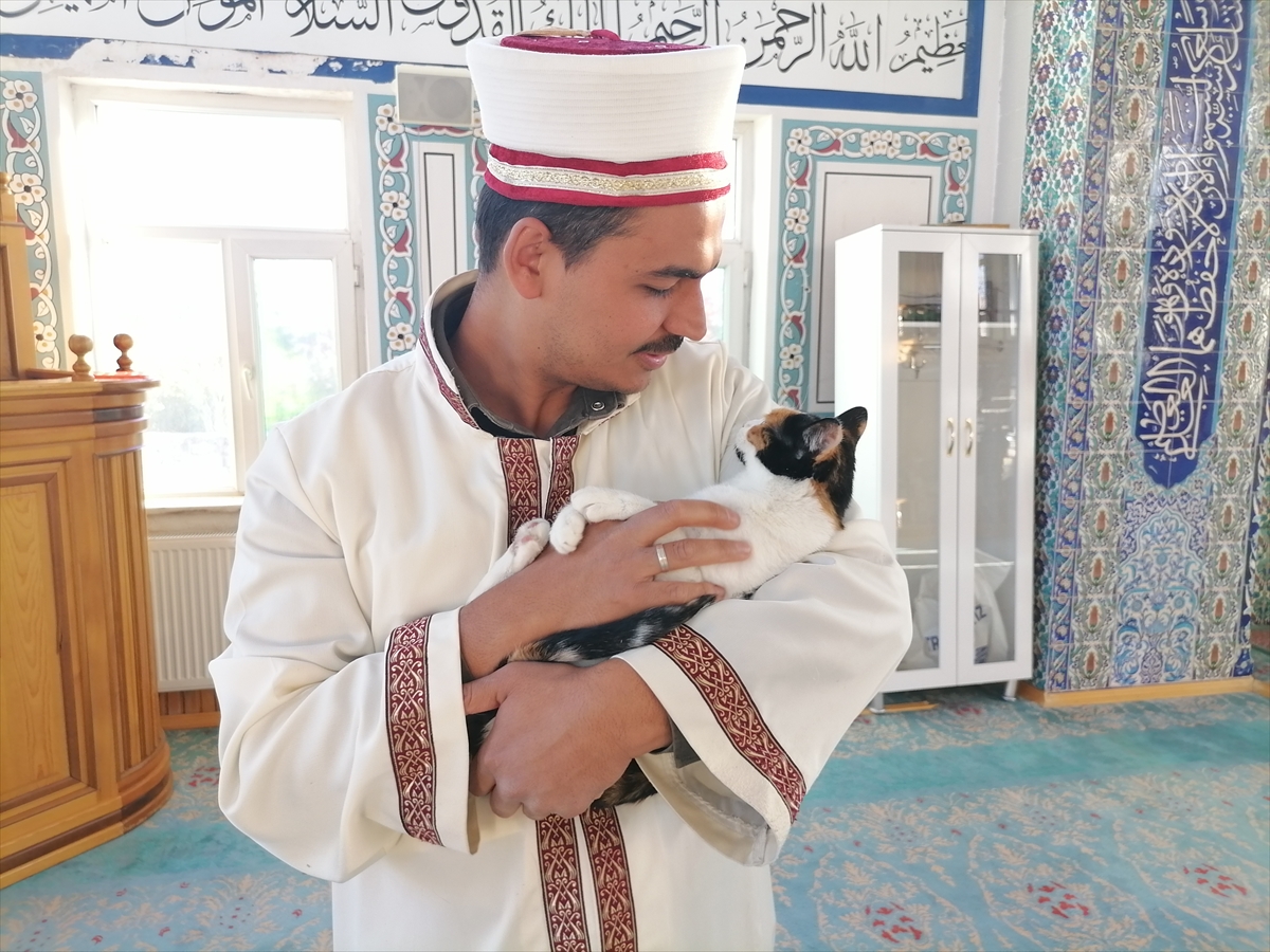 A A 20251022 39483397 39483396 S A H I P C I K T I G I K E D I L E R I L E G E N D E Y I K A Y A N I M A M H A Y V A N S E V G I S I Y L E O R N E K O L U Y O R