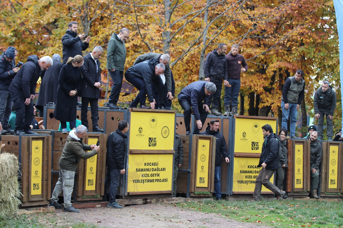 A A 20251022 39486766 39486756 K O C A E L I D E S A M A N L I D A G L A R I N A 7 K I Z I L G E Y I K B I R A K I L D I