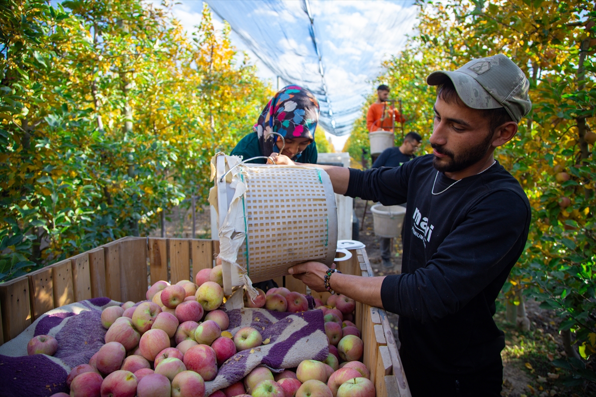 A A 20251026 39523286 39523275 K A R A M A N D A S E Z O N U N S O N E L M A L A R I O Z E N L E H A S A T E D I L I Y O R