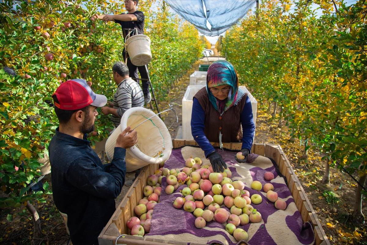 A A 20251026 39523286 39523276 K A R A M A N D A S E Z O N U N S O N E L M A L A R I O Z E N L E H A S A T E D I L I Y O R