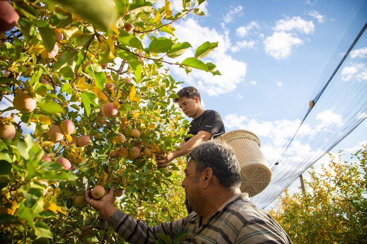 A A 20251026 39523286 39523277 K A R A M A N D A S E Z O N U N S O N E L M A L A R I O Z E N L E H A S A T E D I L I Y O R