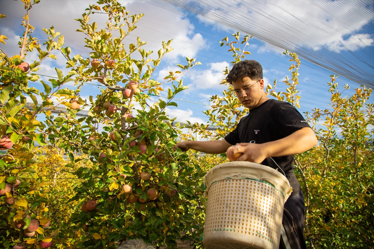 A A 20251026 39523286 39523278 K A R A M A N D A S E Z O N U N S O N E L M A L A R I O Z E N L E H A S A T E D I L I Y O R