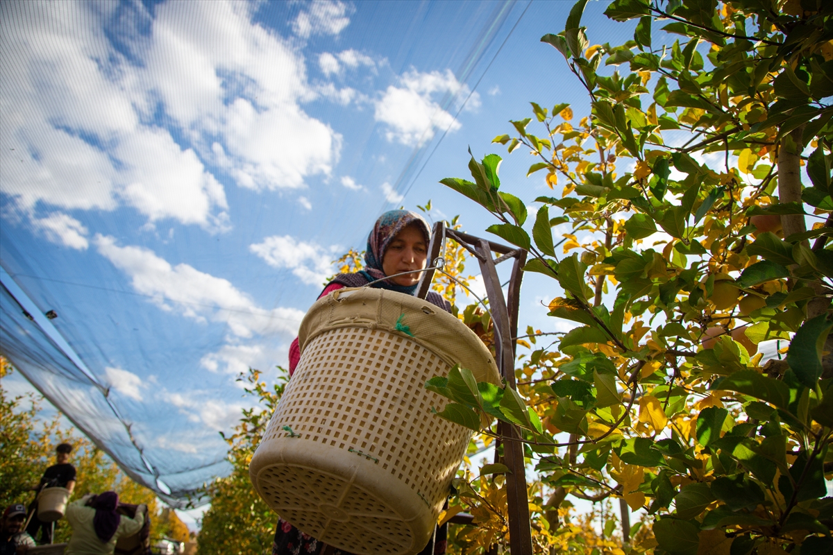 A A 20251026 39523286 39523279 K A R A M A N D A S E Z O N U N S O N E L M A L A R I O Z E N L E H A S A T E D I L I Y O R