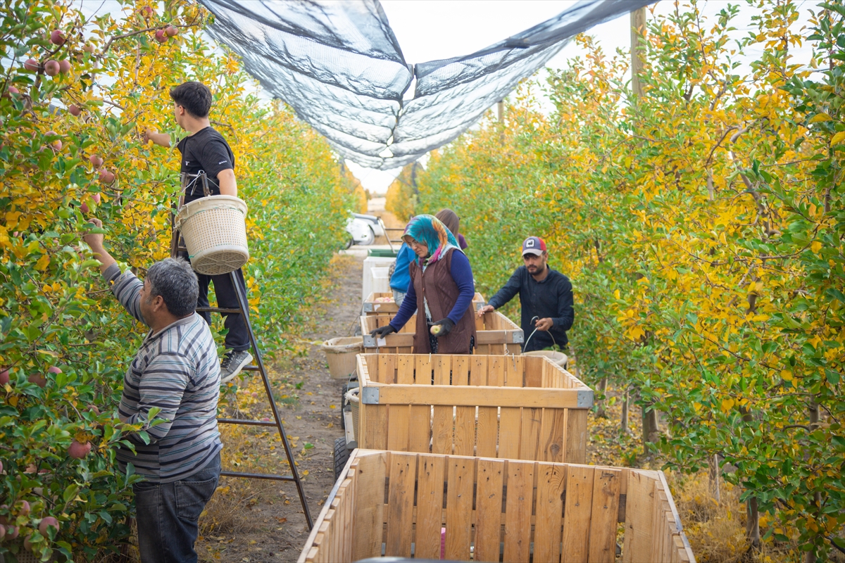 A A 20251026 39523286 39523281 K A R A M A N D A S E Z O N U N S O N E L M A L A R I O Z E N L E H A S A T E D I L I Y O R