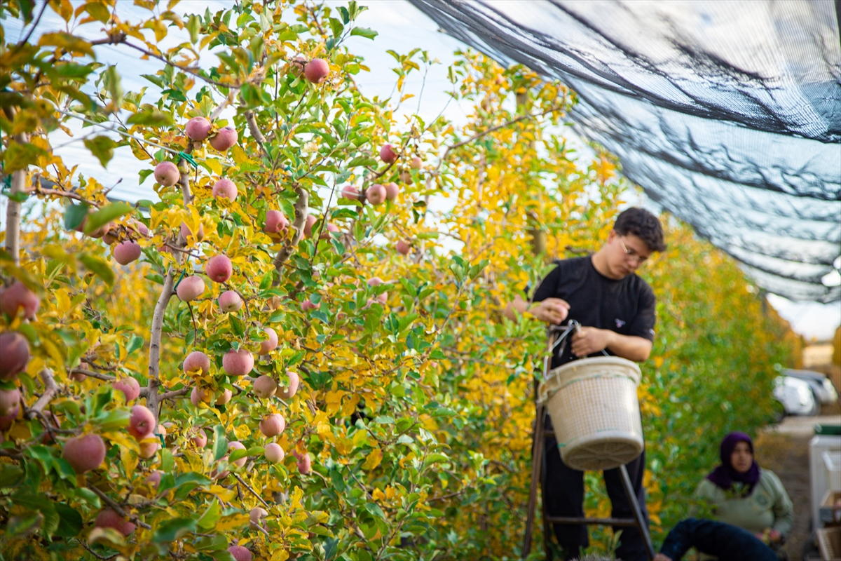 A A 20251026 39523286 39523282 K A R A M A N D A S E Z O N U N S O N E L M A L A R I O Z E N L E H A S A T E D I L I Y O R