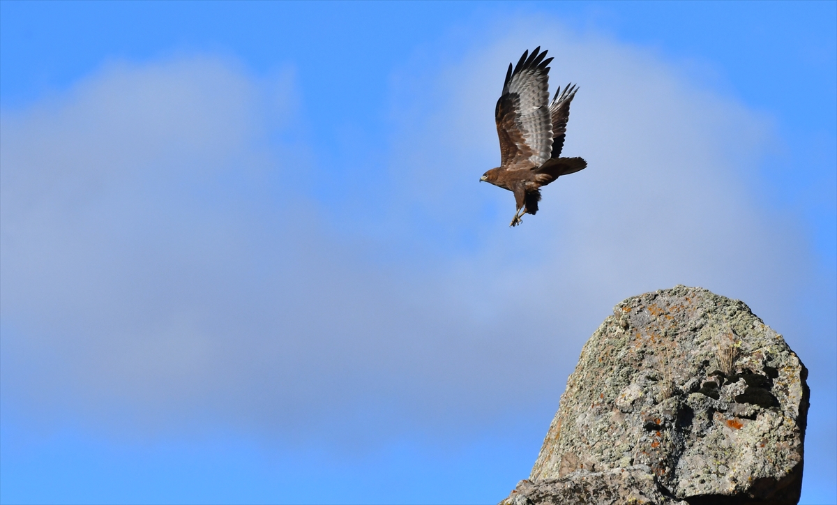 A A 20251026 39524129 39524125 K A R S T A K I K E K L I K V A D I S I N D E S O N B A H A R G U Z E L L I G I Y A S A N I Y O R