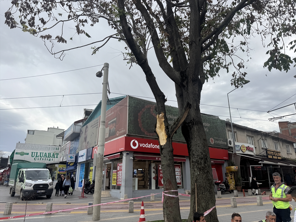 A A 20251027 39534842 39534839 B U R S A D A K U V V E T L I L O D O S E T K I L I O L D U