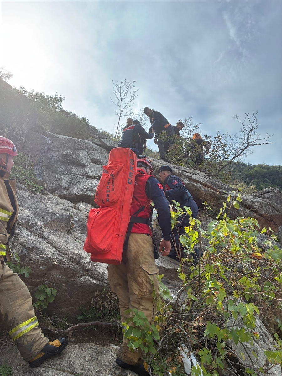 A A 20251031 39580500 39580499 B A L I K E S I R D E K A Y A L I K L A R D A M A H S U R K A L A N 2 K I S I K U R T A R I L D I