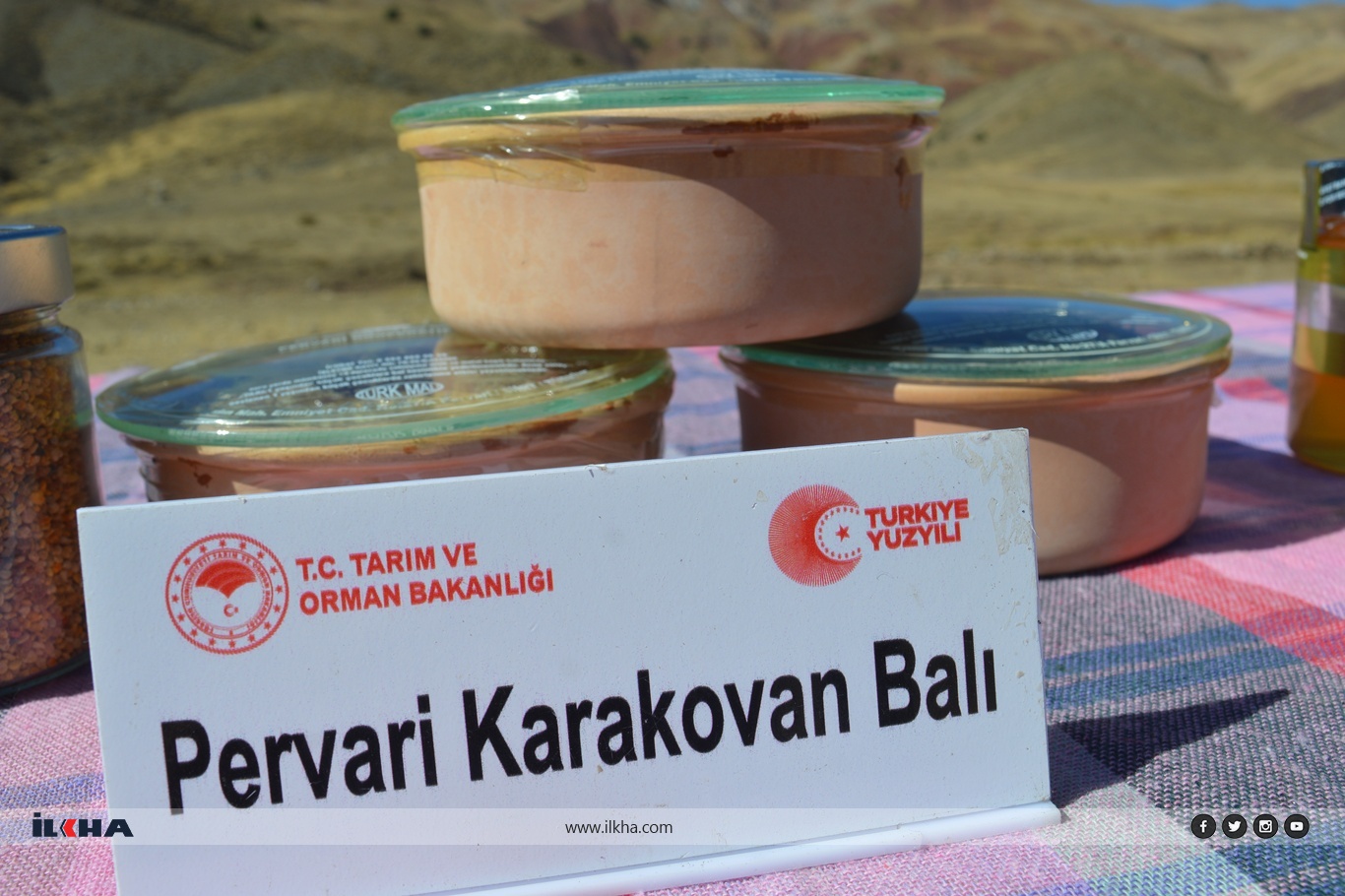 F9Ed7445 51Ce 4De9 B04F C3F41F8Ddbbf