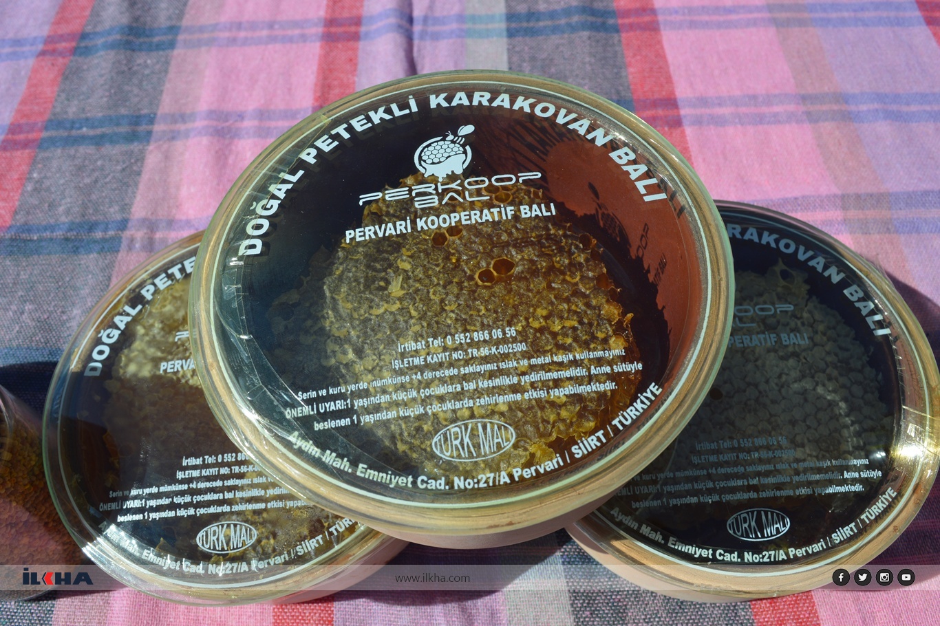 Fe7Af531 F8F4 4Be4 8020 B0E9121F90Cf