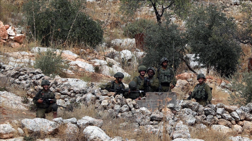 Thumbs B C A2D6F2237744E2Ba41D9D8353Cdad529