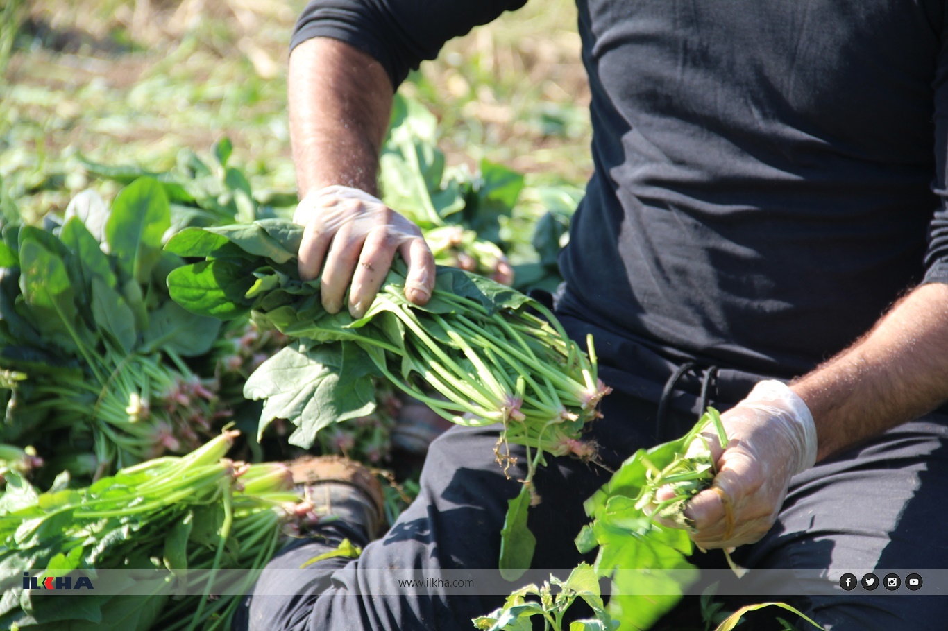 0B4Bd013 2Cbd 4Aac B9Cb D6C8Da7451C4