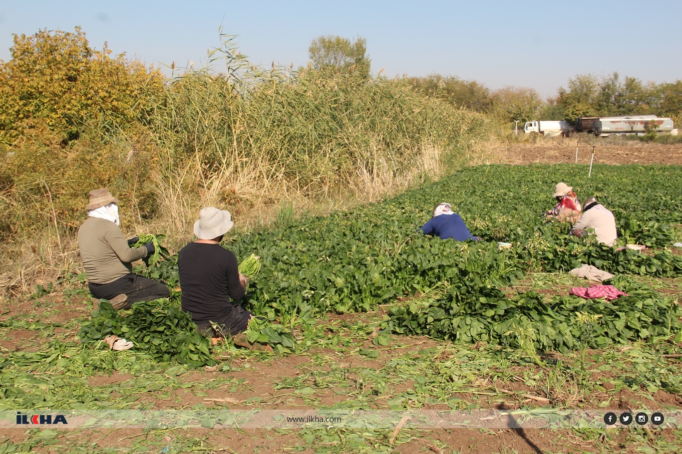 22F42C4B 69Ca 4683 8Ef2 90Db0Ea878Cc