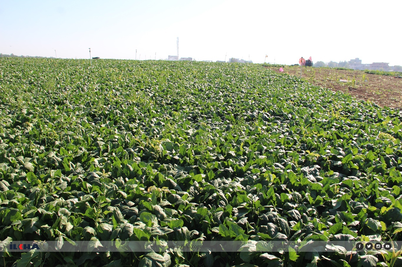 247Bbff9 B3Aa 4F5E 82F4 5379Cfabdbbf