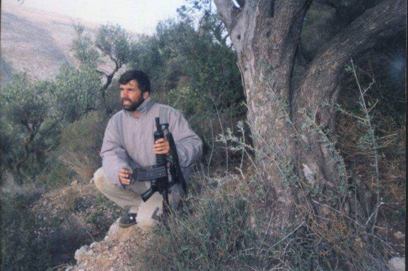 2Abb48B6 484B 4C9C A26C 83Da65B81380