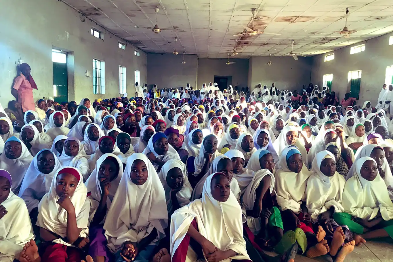 6C313Bb0 1339 4Fcc B226 376A90480Dd8