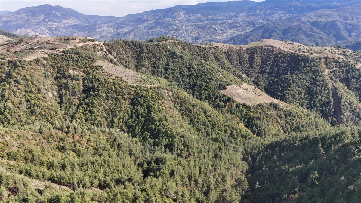 A A 20251101 39586768 39586764 K A H R A M A N M A R A S T A K A Y B O L A N 17 Y A S I N D A K I K I S I I C I N A R A M A C A L I S M A S I B A S L A T I L D I