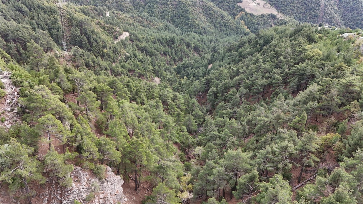 A A 20251101 39586768 39586765 K A H R A M A N M A R A S T A K A Y B O L A N 17 Y A S I N D A K I K I S I I C I N A R A M A C A L I S M A S I B A S L A T I L D I