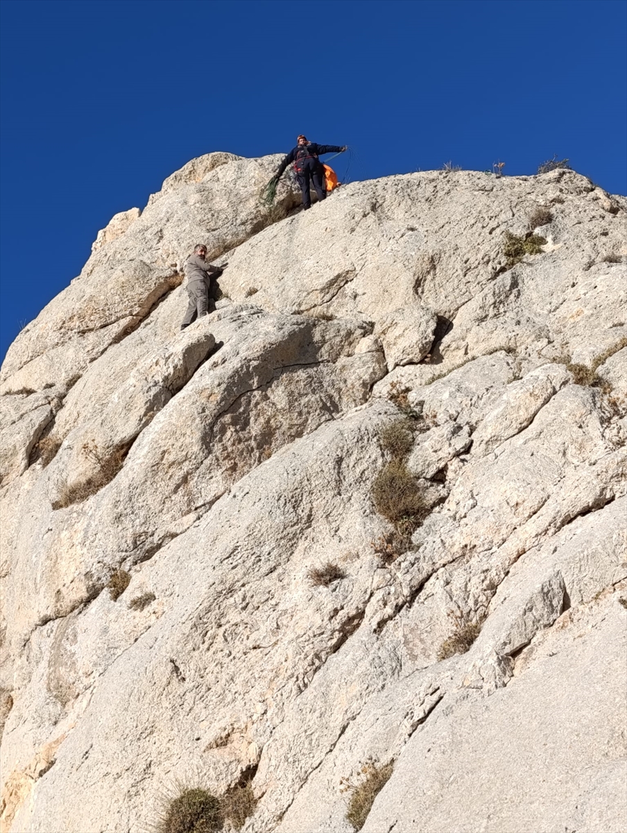 A A 20251102 39595389 39595385 V A N D A K A Y A L I K L A R D A M A H S U R K A L A N K I S I Y I A F A D E K I P L E R I K U R T A R D I