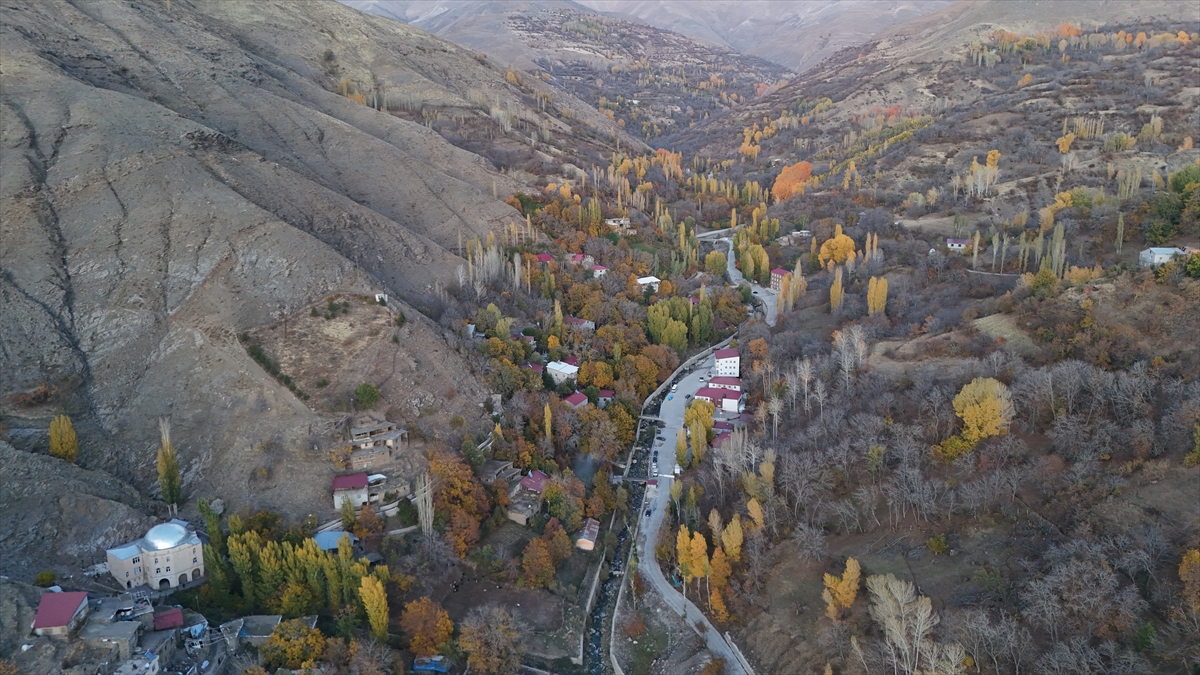 A A 20251103 39600766 39600764 B I T L I S T E K I T A S E V L E R S O N B A H A R M A N Z A R A S I Y L A F O T O G R A F T U T K U N L A R I N I A G I R L I Y O R