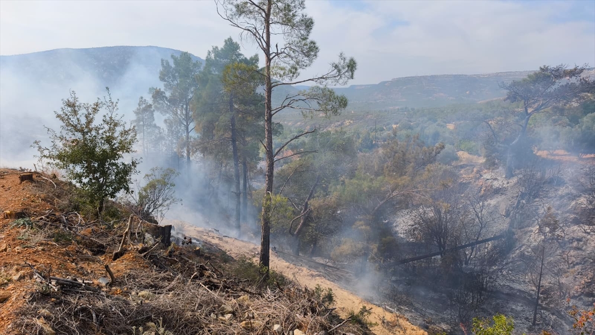 A A 20251103 39601099 39601094 M E R S I N D E T E M I Z L I K I C I N A T E S Y A K I L A N B A H C E D E C I K A N Y A N G I N D A 1 K I S I Y A S A M I N I Y I T I R D I