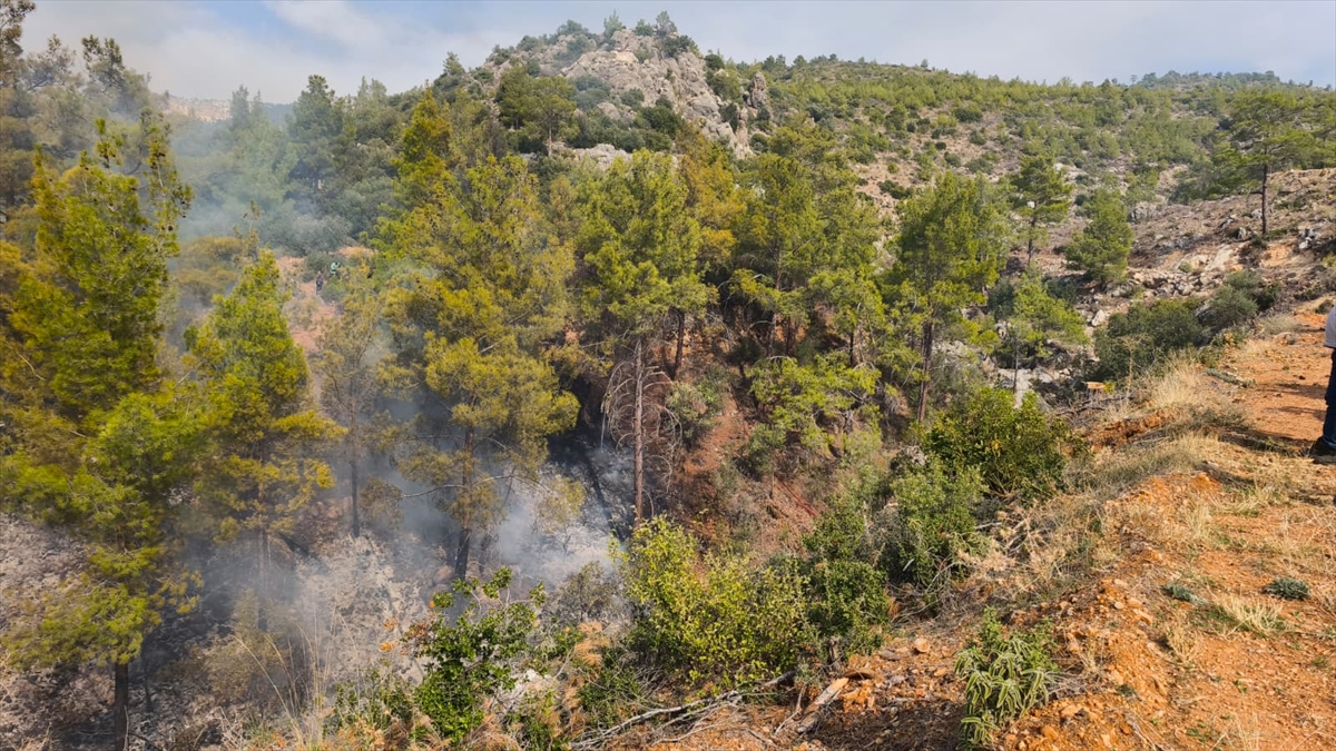 A A 20251103 39601099 39601095 M E R S I N D E T E M I Z L I K I C I N A T E S Y A K I L A N B A H C E D E C I K A N Y A N G I N D A 1 K I S I Y A S A M I N I Y I T I R D I