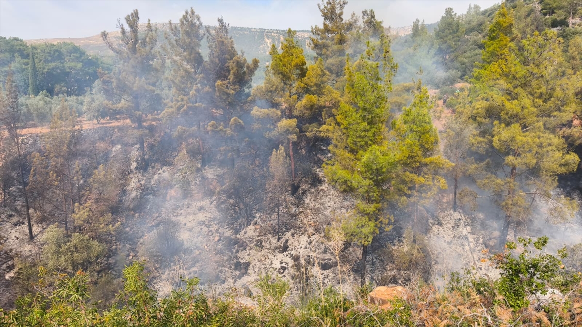 A A 20251103 39601099 39601096 M E R S I N D E T E M I Z L I K I C I N A T E S Y A K I L A N B A H C E D E C I K A N Y A N G I N D A 1 K I S I Y A S A M I N I Y I T I R D I