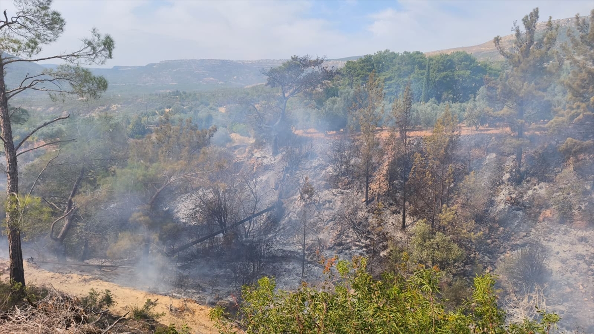 A A 20251103 39601099 39601098 M E R S I N D E T E M I Z L I K I C I N A T E S Y A K I L A N B A H C E D E C I K A N Y A N G I N D A 1 K I S I Y A S A M I N I Y I T I R D I