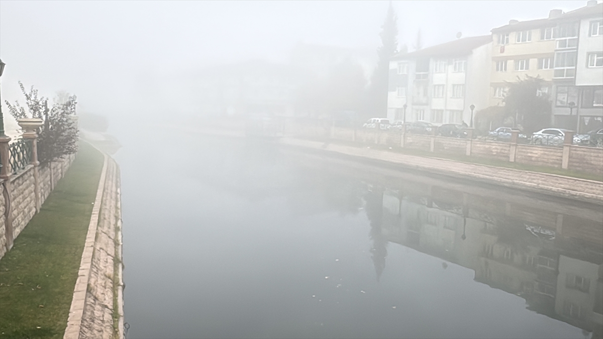 A A 20251106 39629787 39629785 E S K I S E H I R D E S I S E T K I L I O L D U