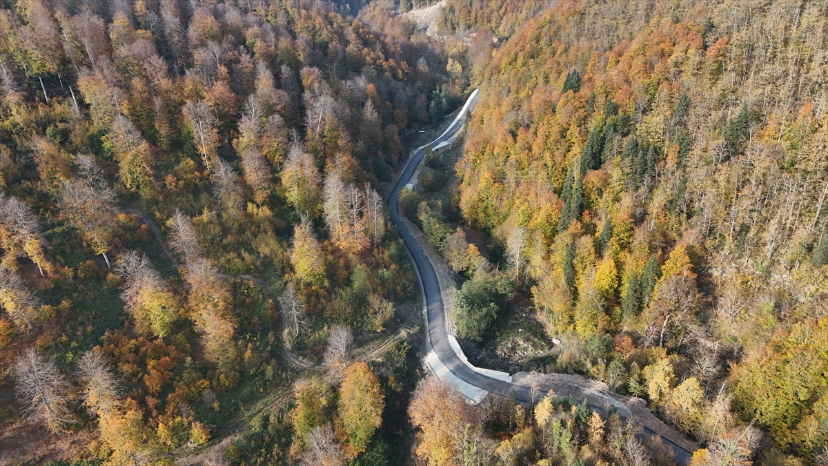 A A 20251108 39652675 39652671 S I N O P T A S O N B A H A R R E N K L E R I G O R S E L S O L E N S U N U Y O R