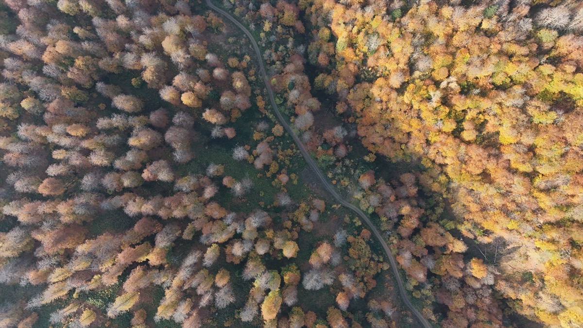 A A 20251108 39652675 39652672 S I N O P T A S O N B A H A R R E N K L E R I G O R S E L S O L E N S U N U Y O R