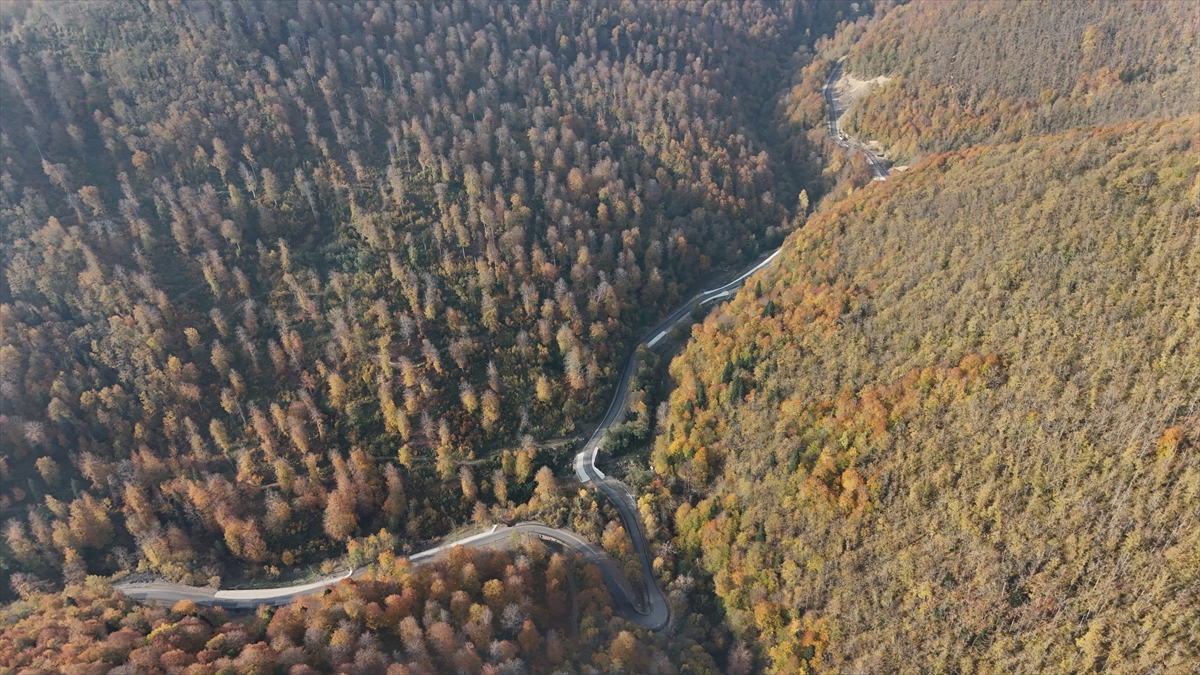 A A 20251108 39652675 39652673 S I N O P T A S O N B A H A R R E N K L E R I G O R S E L S O L E N S U N U Y O R