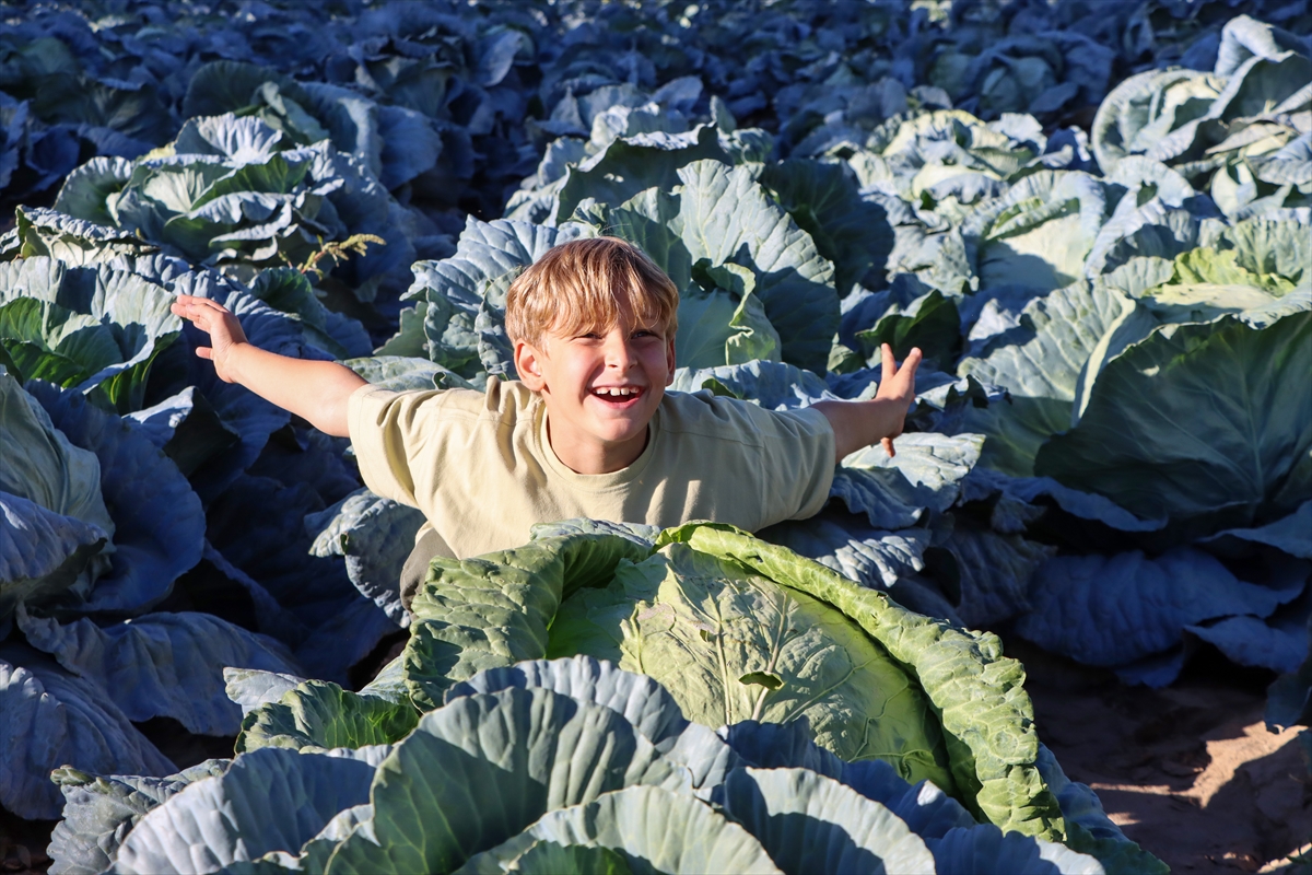 A A 20251109 39658676 39658667 A T A T O H U M U Y L A Y E T I S T I R I L E N E R C I S L A H A N A S I N I N H A S A D I B A S L A D I