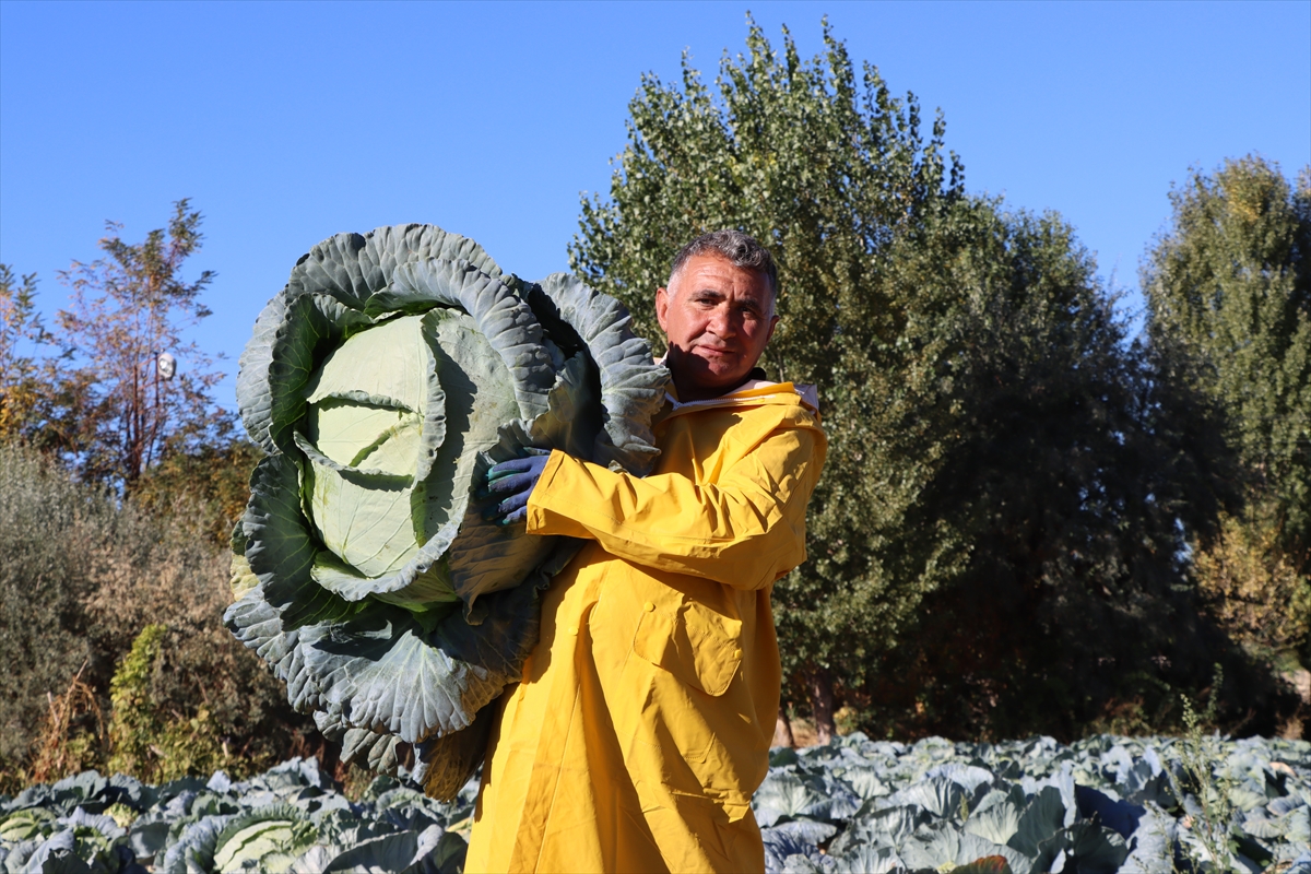 A A 20251109 39658676 39658668 A T A T O H U M U Y L A Y E T I S T I R I L E N E R C I S L A H A N A S I N I N H A S A D I B A S L A D I