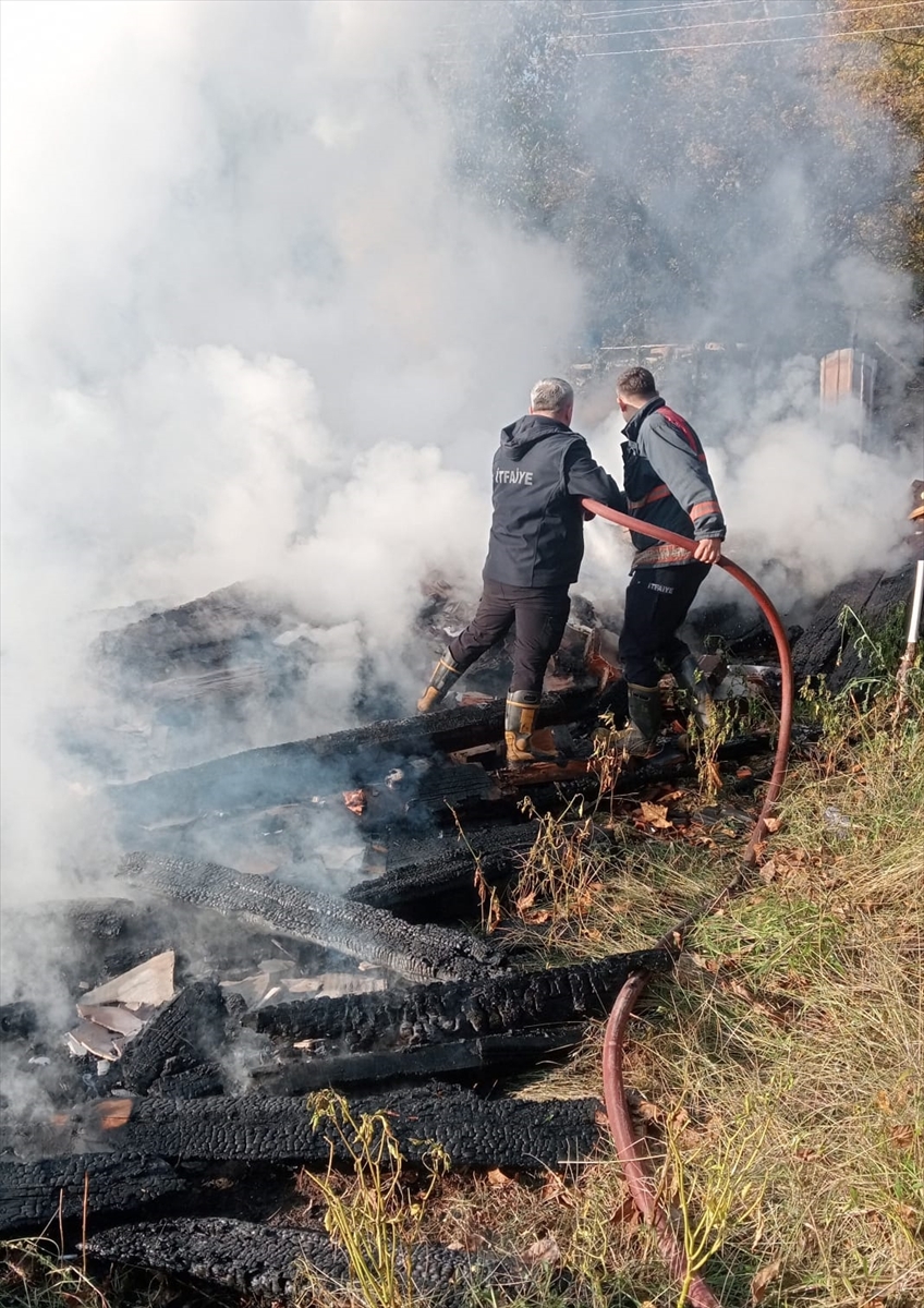 A A 20251109 39659666 39659665 K A R A B U K T E A H S A P E V D E C I K A N Y A N G I N D A 5 K I S I D U M A N D A N E T K I L E N D I