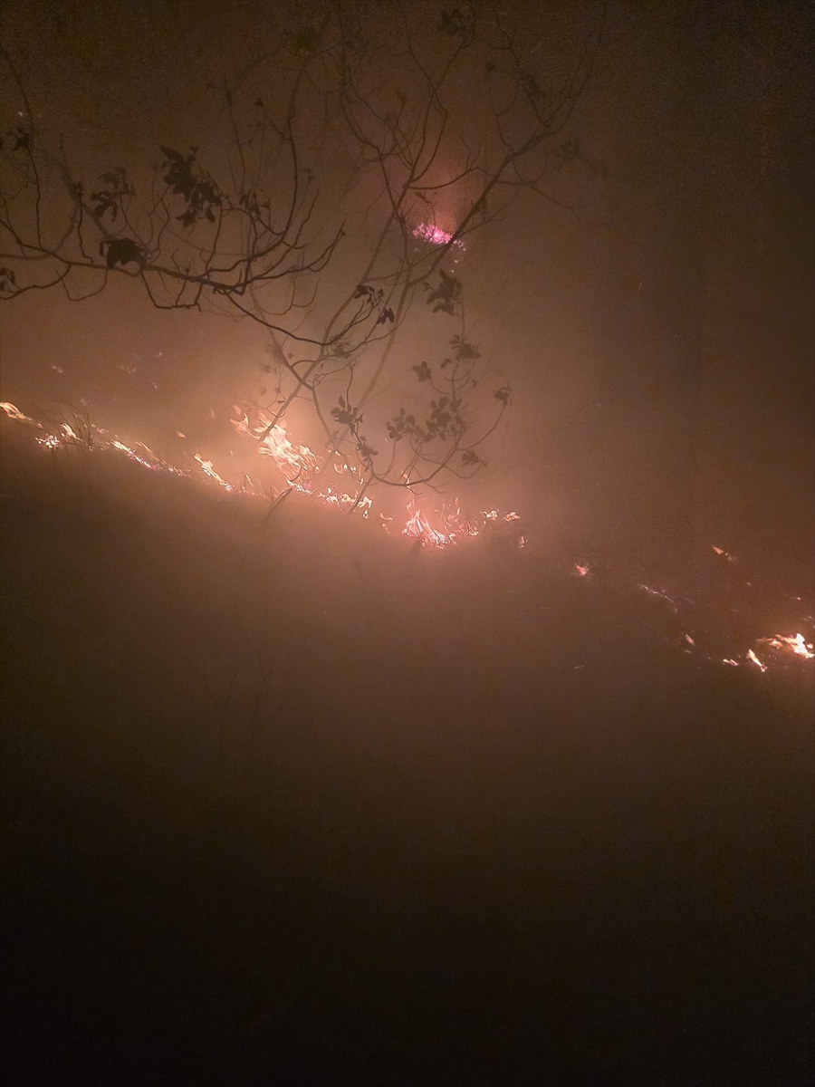 A A 20251113 39700422 39700421 H A T A Y D A O R M A N L I K A L A N D A Y A N G I N C I K T I