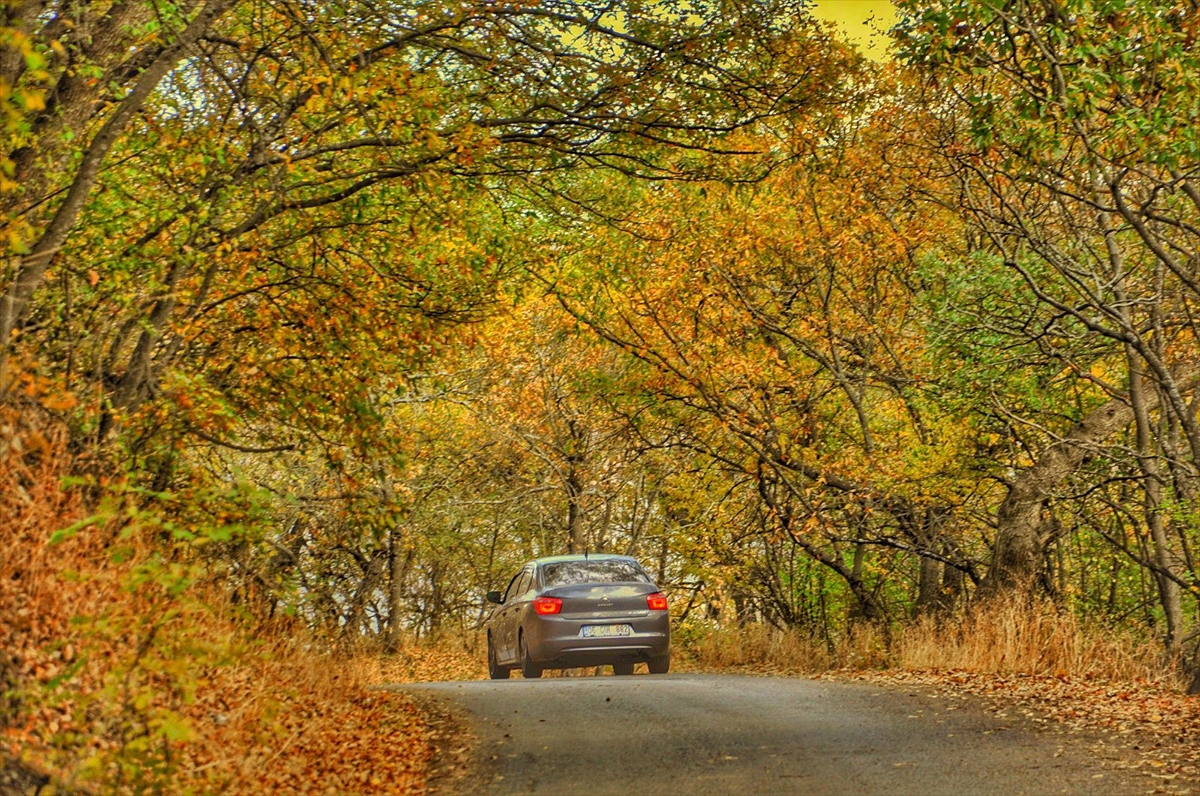 A A 20251114 39705610 39705601 B I T L I S T E H I Z A N O R M A N L A R I H A Z A N R E N K L E R I N E B U R U N D U