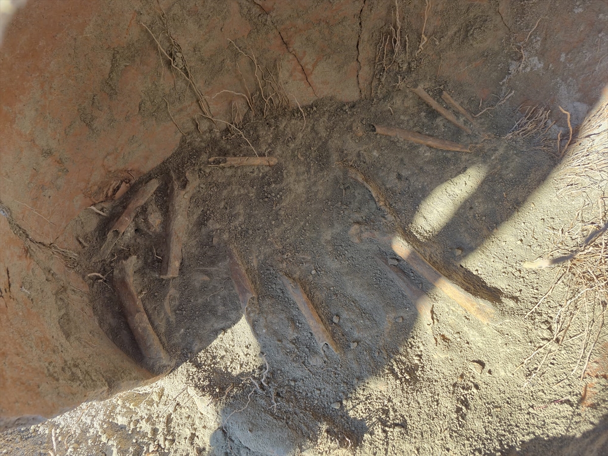 A A 20251115 39716417 39716413 D E N I Z L I D E I N S A N A A I T O L D U G U A N L A S I L A N K E M I K P A R C A L A R I B U L U N D U