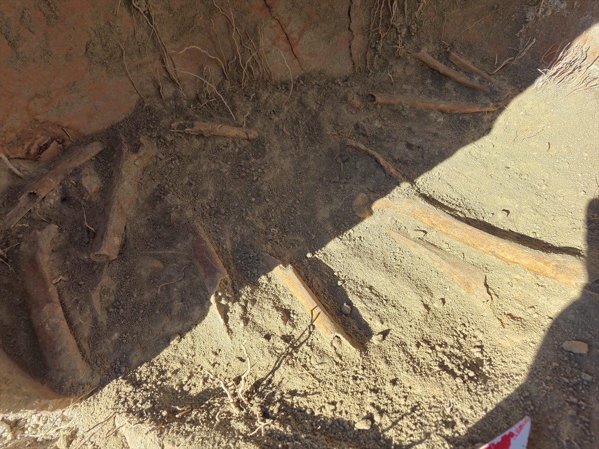 A A 20251115 39716417 39716414 D E N I Z L I D E I N S A N A A I T O L D U G U A N L A S I L A N K E M I K P A R C A L A R I B U L U N D U