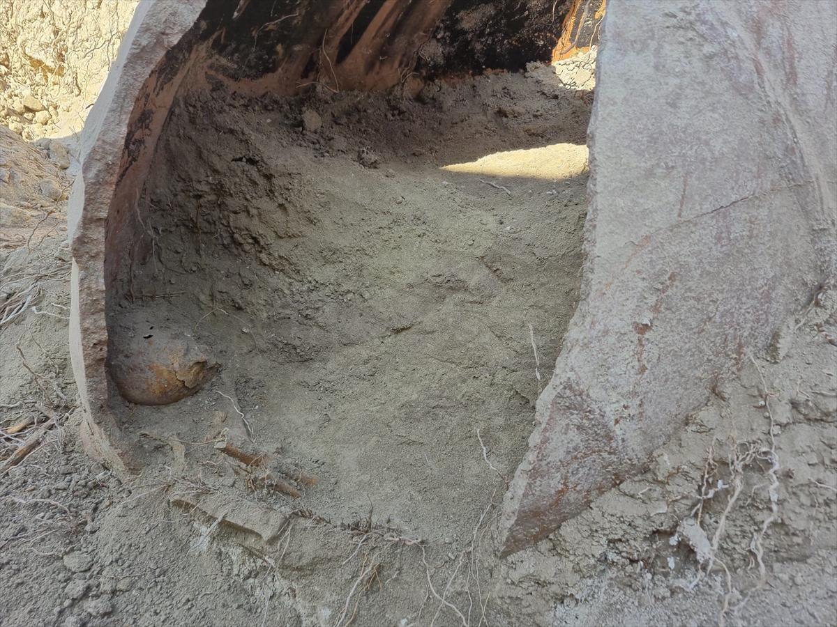 A A 20251115 39716417 39716415 D E N I Z L I D E I N S A N A A I T O L D U G U A N L A S I L A N K E M I K P A R C A L A R I B U L U N D U