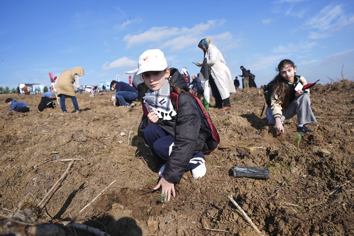 A A 20251116 39723045 39723035 I S T A N B U L D A F I L I S T I N L I C O C U K L A R I N A N I S I N A 10 B I N F I D A N D I K I L D I