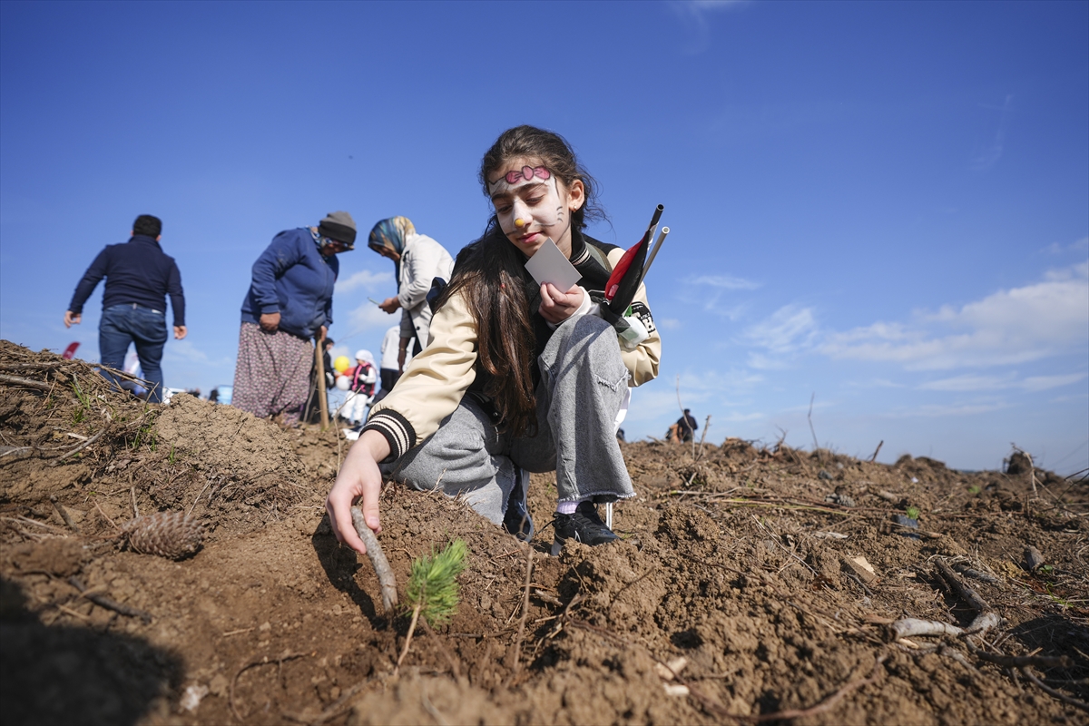 A A 20251116 39723045 39723036 I S T A N B U L D A F I L I S T I N L I C O C U K L A R I N A N I S I N A 10 B I N F I D A N D I K I L D I