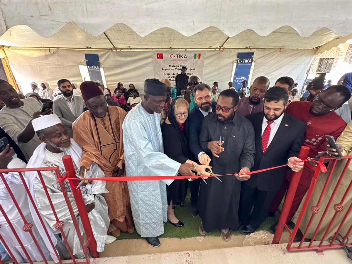 A A 20251117 39733984 39733978 T I K A S E N E G A L D E C A M I A C T I