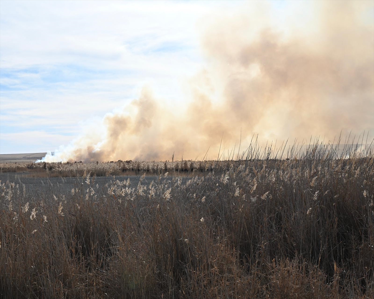 A A 20251118 39743493 39743491 K O N Y A D A K I T A M A M E N K U R U Y A N G O K G O L S A Z L I K L A R I 2 G U N D U R Y A N I Y O R