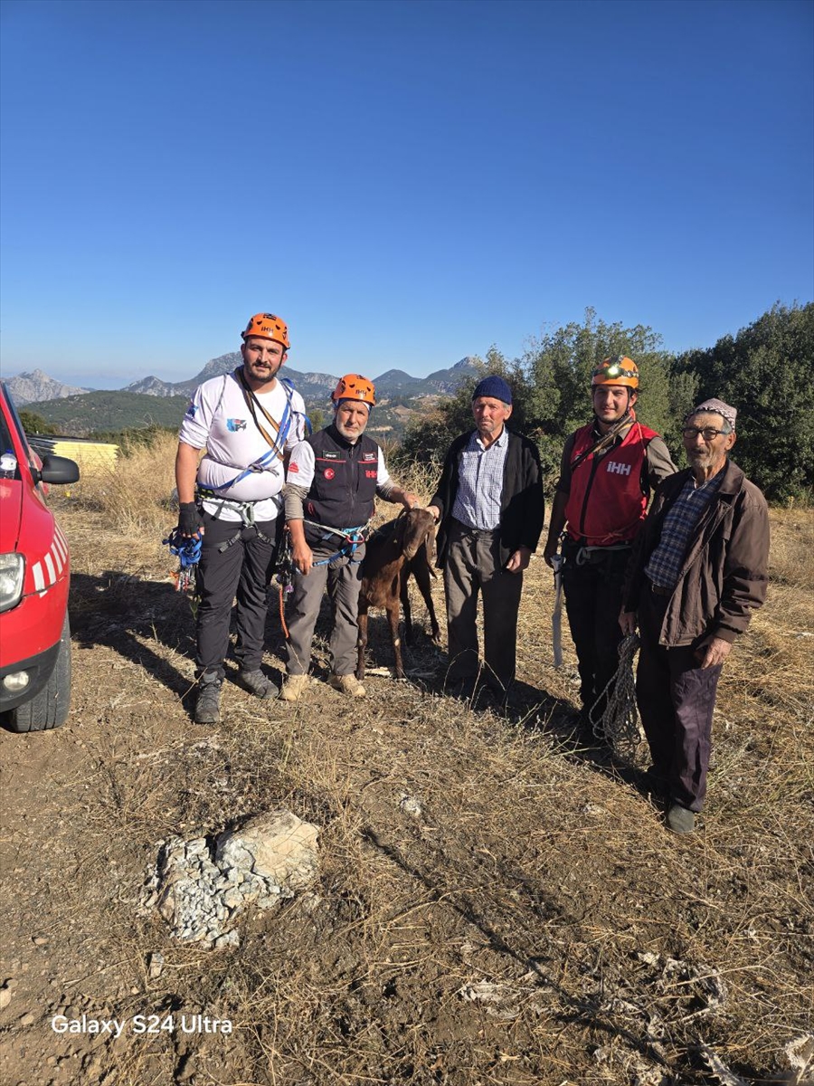 A A 20251119 39750557 39750556 A N T A L Y A D A K A Y A L I K L A R D A M A H S U R K A L A N 3 K E C I K U R T A R I L D I